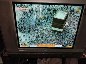 تليفزيون