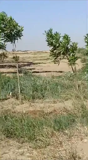 ارض زراعيه
