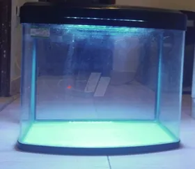 احواض سمك 