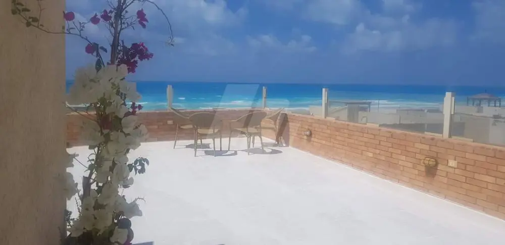 https://4swapp.azureedge.net/4swapp/media/cover/638594444268437656/c257ac7a-ac65-41ab-9113-515b49a0ea3a