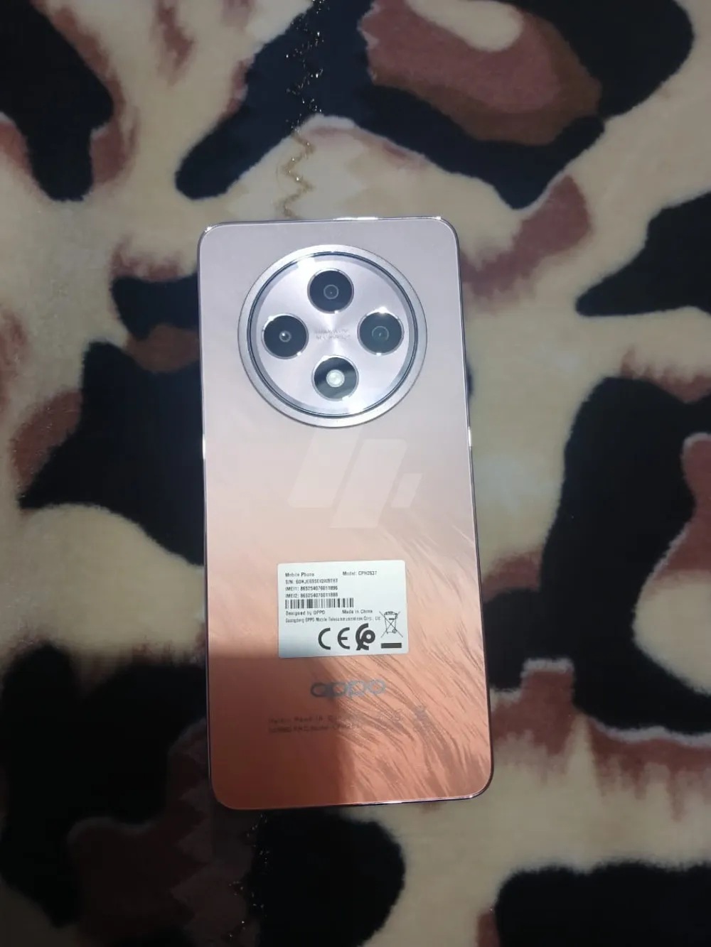 https://4swapp.azureedge.net/4swapp/media/cover/638702421184003970/205902d6-c62e-48e1-84a2-cd0e1ca0fc70