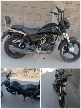 هوجن 200