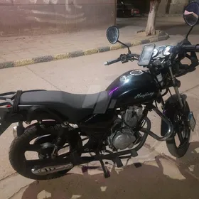 هوجن 3 