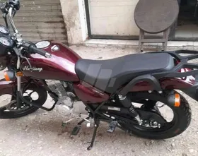 موتسكل هوجن3