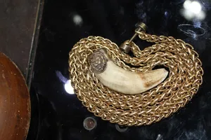 ناب الاسد