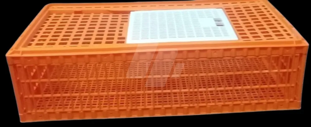 https://4swapp.azureedge.net/4swapp/media/cover/638856734983520124/ebf6dde8-df39-41a0-8145-8e87a759422c