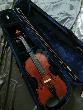 Violin 