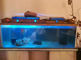 Fish tank