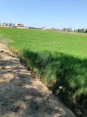 قطعت ارض داخل حايز عمراني 3افدنه للبيع 