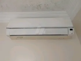 شارب