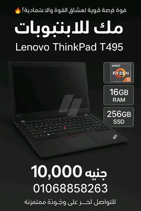 Lenovo ThinkPad T495
