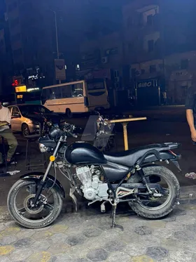 هوجان 3