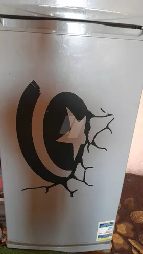 ثلاجه الكتروستار