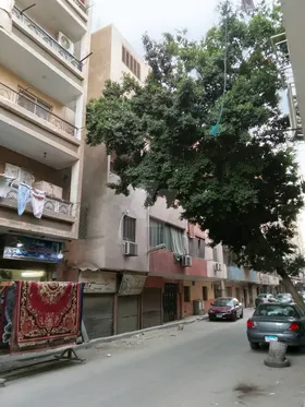 بيت