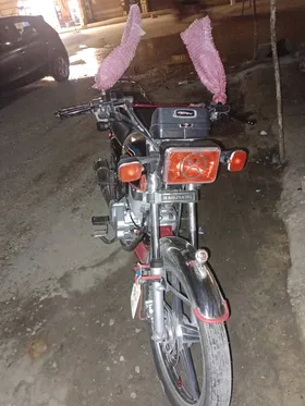 هوجن 2024