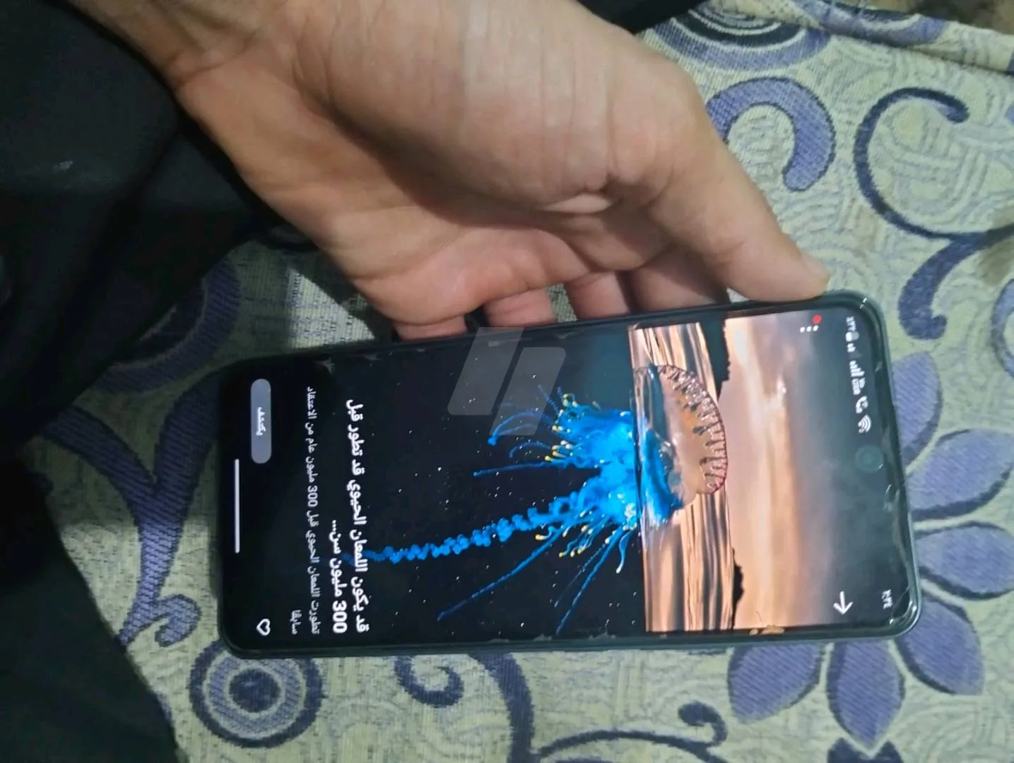 https://4swapp.azureedge.net/4swapp/media/cover/638898615761289387/974f7fc8-f95c-4d13-a96d-c07730d2e260