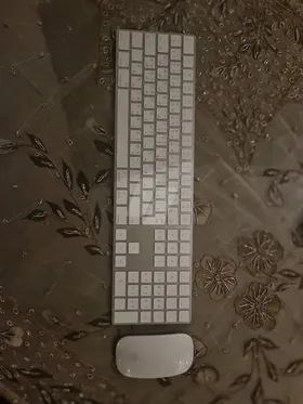 magic mouse and magic keyboard 