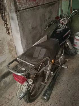 موتسكل دايو 2