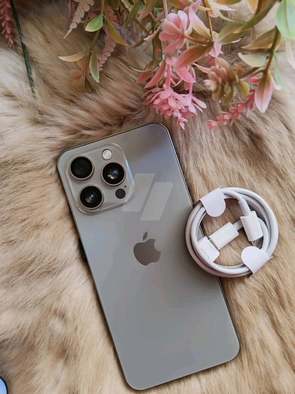 https://4swapp.azureedge.net/4swapp/media/cover/638901692301141365/8c76da30-023b-4a7b-aff0-8cb655b15dbe