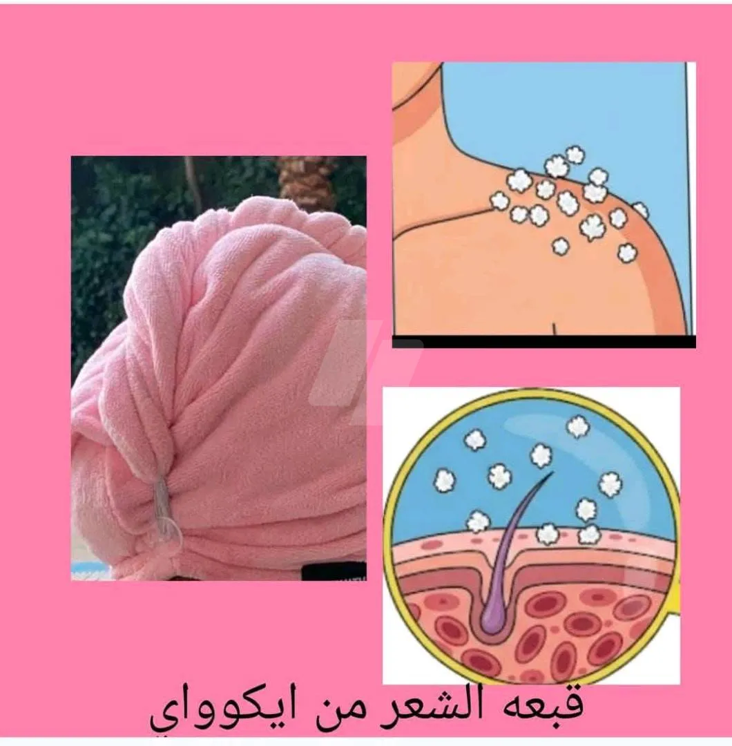 https://4swapp.azureedge.net/4swapp/media/cover/638910683589748600/3aa335e7-f3f2-41d1-bab1-a3086aa658aa