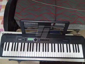Org Casio 