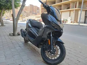   كيواي فستا 