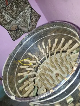 رياشه دواجن