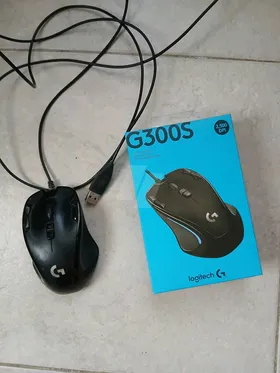 ماوسات