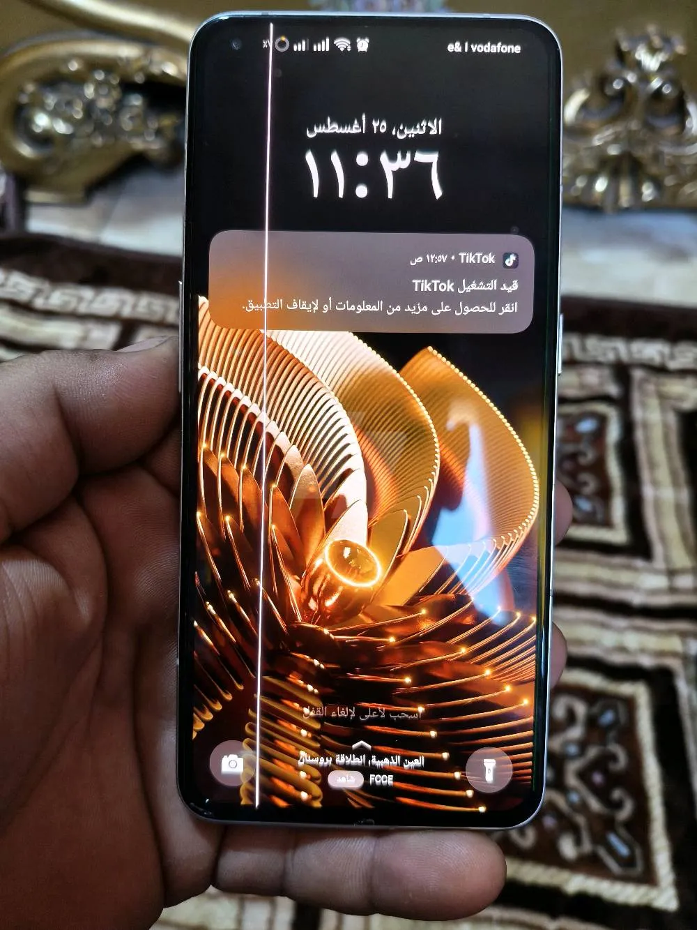 https://4swapp.azureedge.net/4swapp/media/cover/638922487315082011/62a3a5e4-935f-48c6-b7fa-eb7a06d2e921