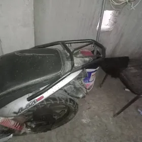موتوسيكل بينيللي 
