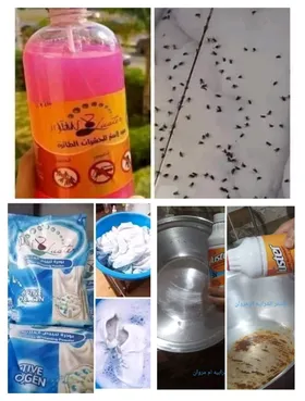مبيد الذباب+مذيب الدهون+مبيض الملابس 