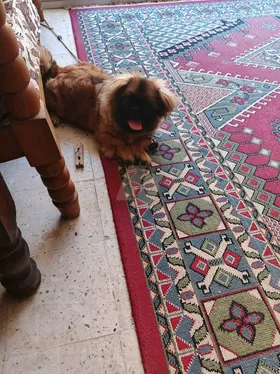 بيكنوه