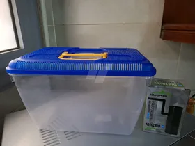 fish tank