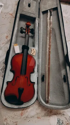 Violin
