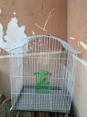 قفص عصافير 