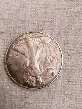 عملات فضة 