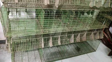 بطاريات ارانب كاملة للبيع