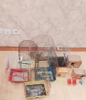 اقفاص للعصافير