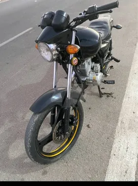 هوجن ٣