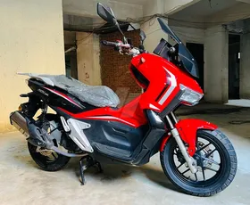 scoter