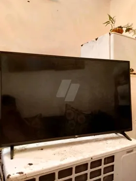LG