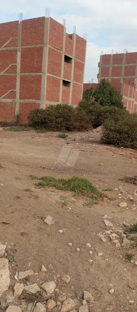 ارض للبيع 