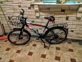 عجلتين للبيع 